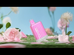 Drala 600/800 نفث أقلام VAPE للاستعمال مرة واحدة بنكهة الفاكهة E سيجارة VAPE